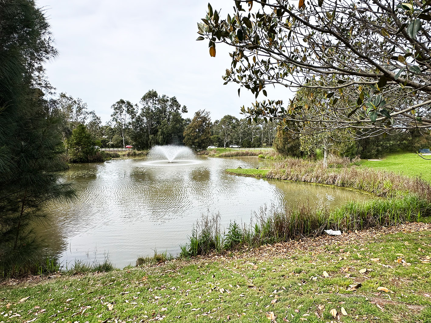 Floating Fountain System at Eastbourne Park in Sydney, Australia Floating Fountain System at Eastbourne Park in Sydney, Australia